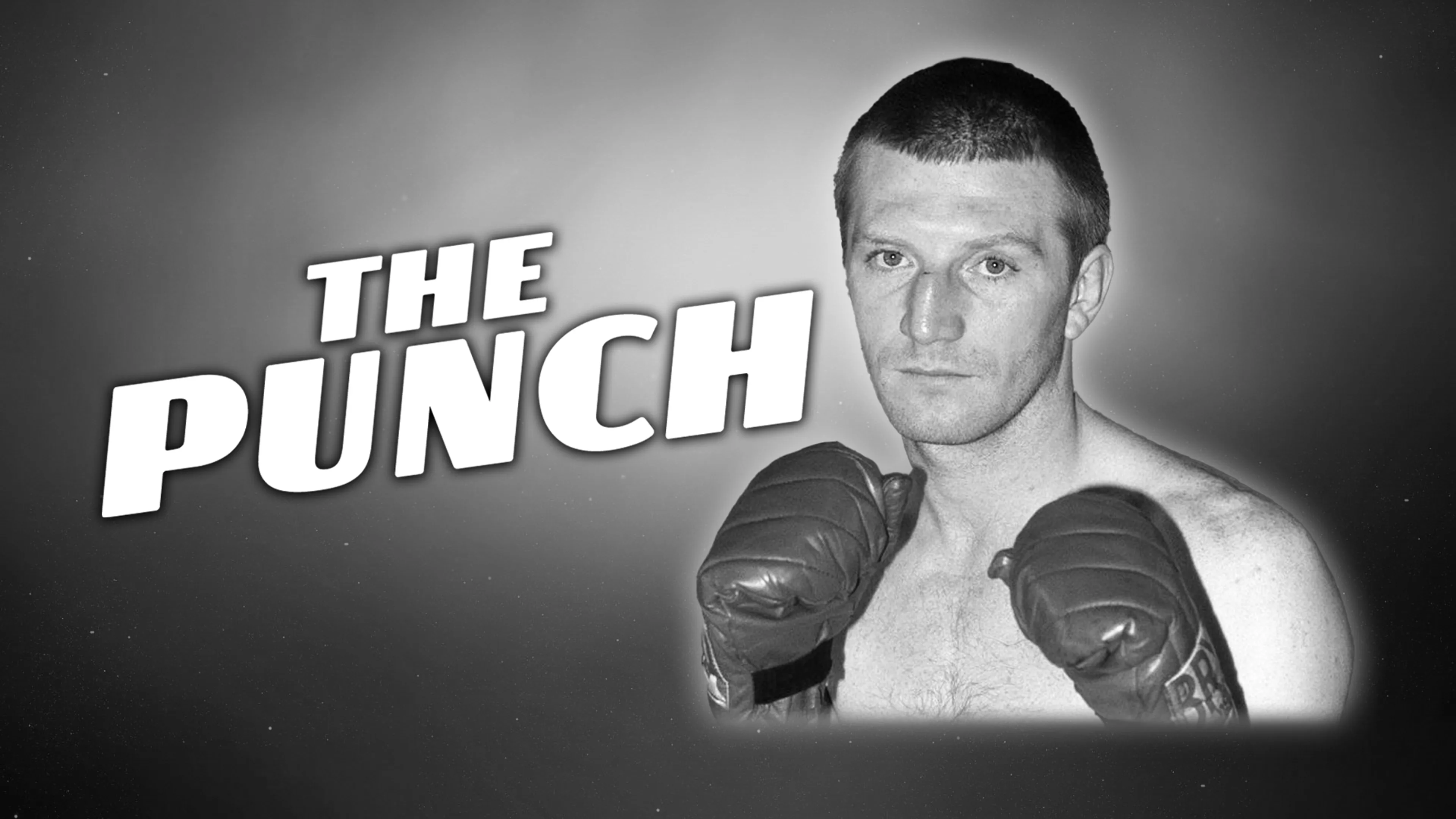 The Punch poster
